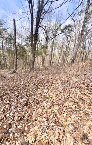 20467 N Greenville Road, White Plains, KY 42464