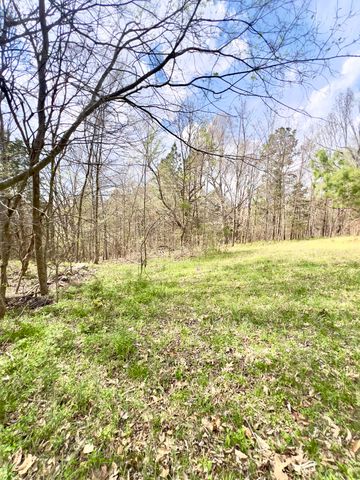 20467 N Greenville Road, White Plains, KY 42464