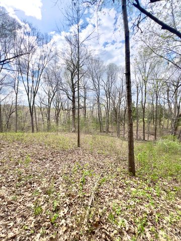 20467 N Greenville Road, White Plains, KY 42464