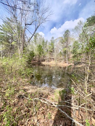 20467 N Greenville Road, White Plains, KY 42464