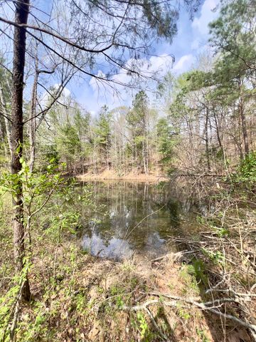 20467 N Greenville Road, White Plains, KY 42464