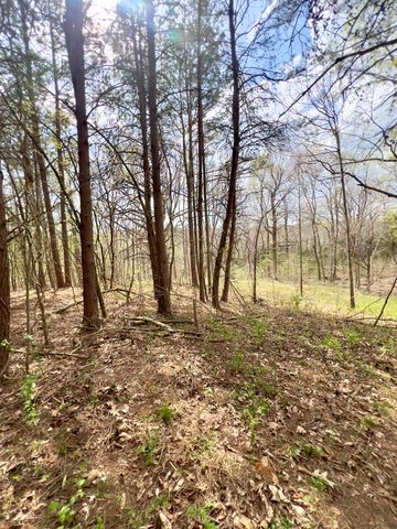 20467 N Greenville Road, White Plains, KY 42464