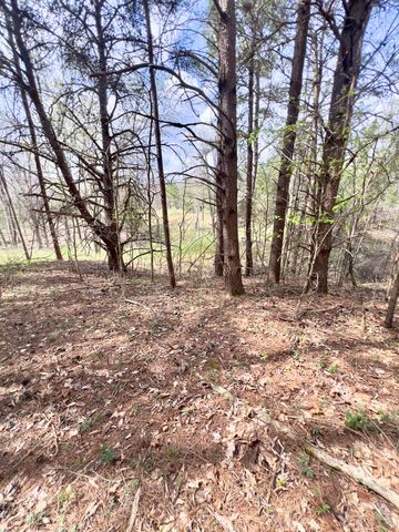 20467 N Greenville Road, White Plains, KY 42464