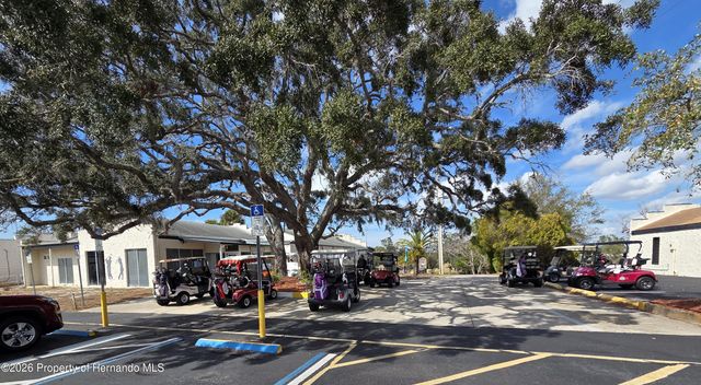 12130 Thornridge Street, Brooksville, FL 34613