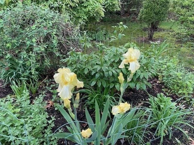 26 Nickerson Road, Bedford, MA 01730