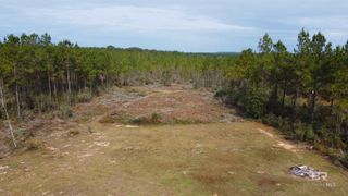 26641 Linholm Road, Robertsdale, AL 36567