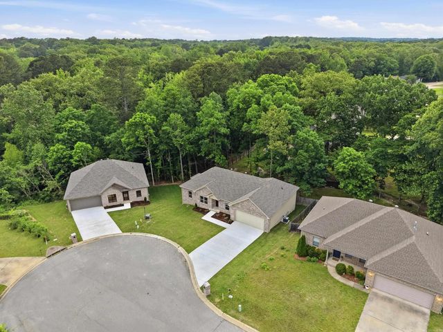 2444 Pleasant Willow Drive, Benton, AR 72015