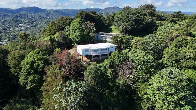 PR 834 MAMEY, Guaynabo, PR 00971