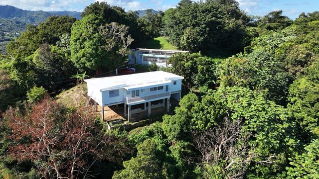 PR 834 MAMEY, Guaynabo, PR 00971