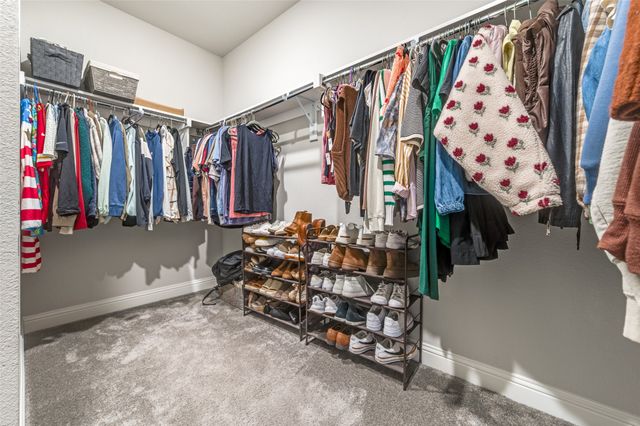 9828 Echo Summit Drive, Little Elm, TX 75068