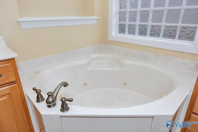 29863 Thunderpaw Drive, Harvest, AL 35749