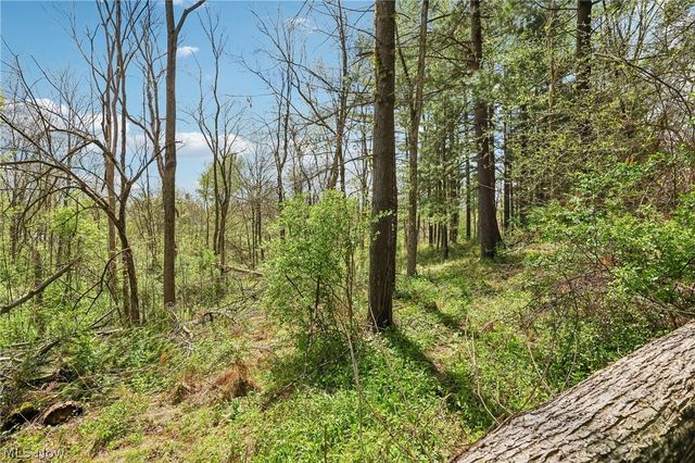 7802 Avon Lake Road, Lodi, OH 44254