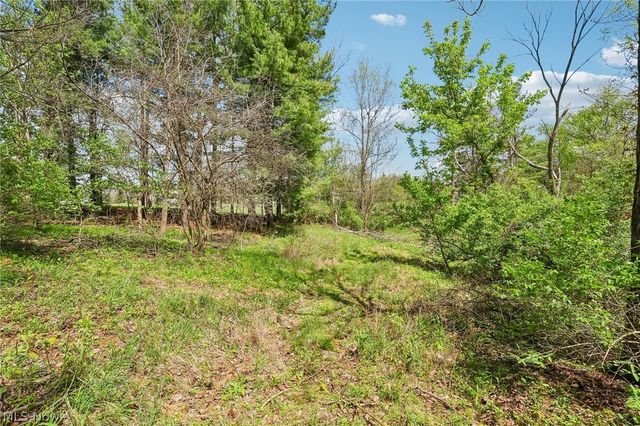 7802 Avon Lake Road, Lodi, OH 44254