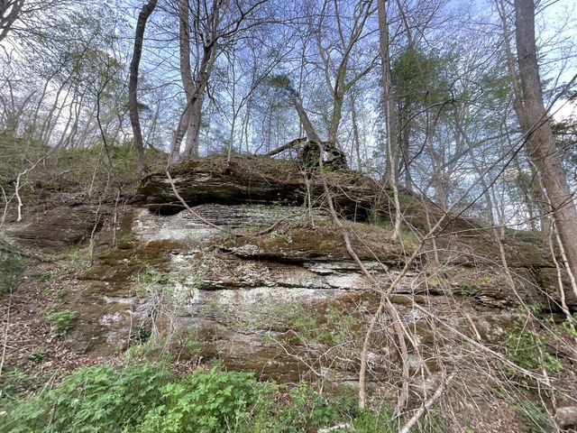 1 Bud Parker Lane, Erin, TN 37061