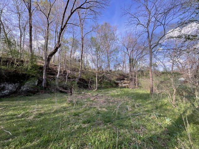 1 Bud Parker Lane, Erin, TN 37061