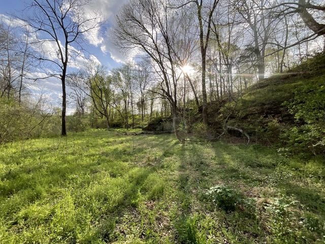 1 Bud Parker Lane, Erin, TN 37061