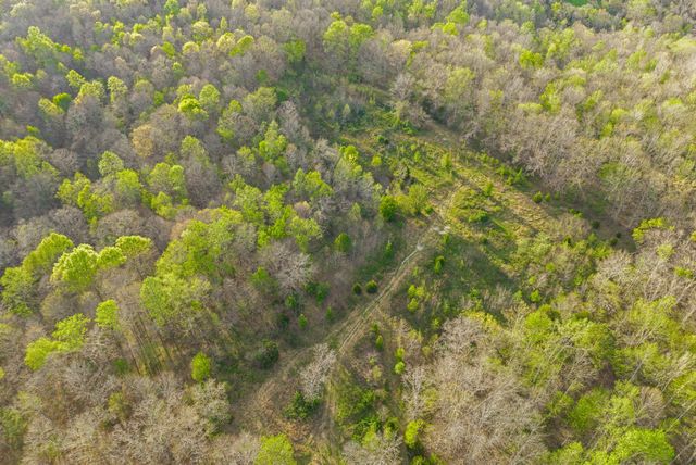 1 Bud Parker Lane, Erin, TN 37061
