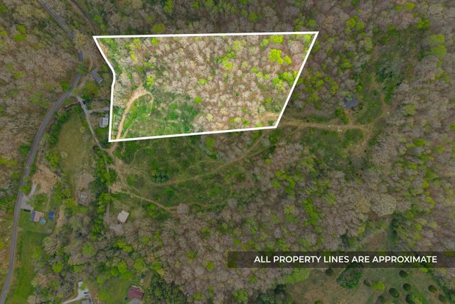 1 Bud Parker Lane, Erin, TN 37061
