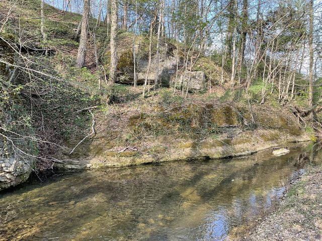 1 Bud Parker Lane, Erin, TN 37061