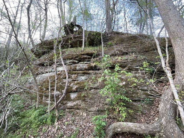 1 Bud Parker Lane, Erin, TN 37061