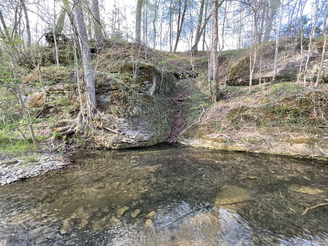 1 Bud Parker Lane, Erin, TN 37061