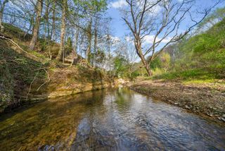 1 Bud Parker Lane, Erin, TN 37061