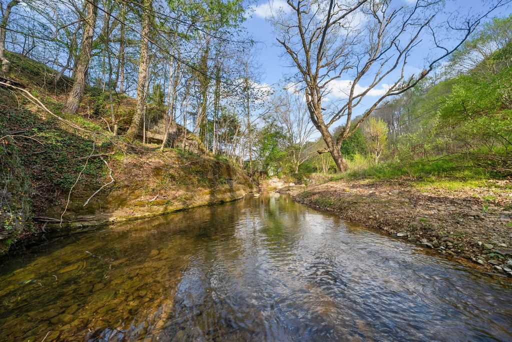 1 Bud Parker Lane, Erin, TN 37061