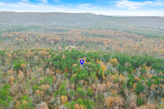 130 Church Camp Rd Road, Higden, AR 72067