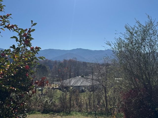 33 Teaks Drive, Hayesville, NC 28904