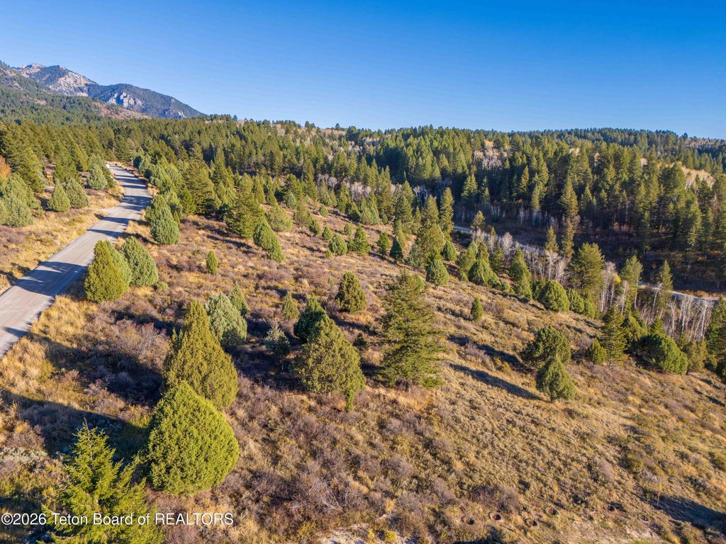 LOT 64 CUTTHROAT RUN Lane, Irwin, ID 83428 photo 3