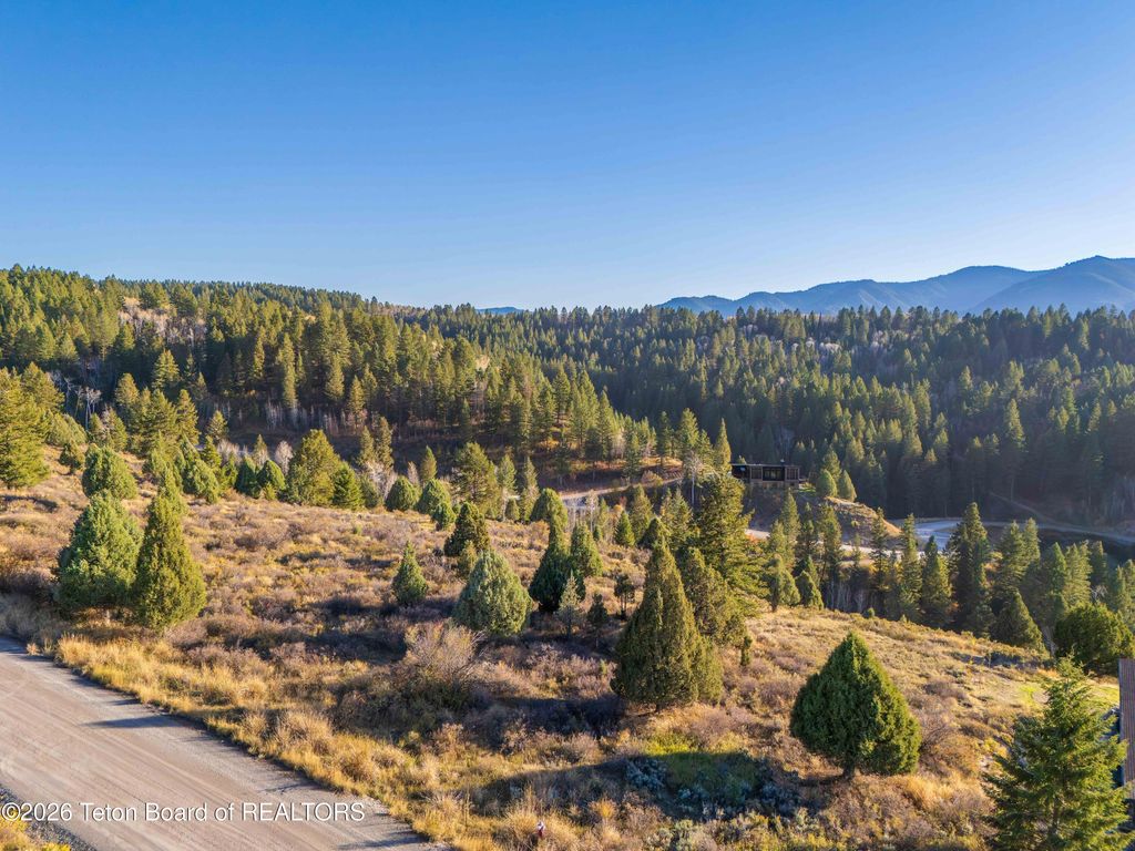 LOT 64 CUTTHROAT RUN Lane, Irwin, ID 83428 photo 4