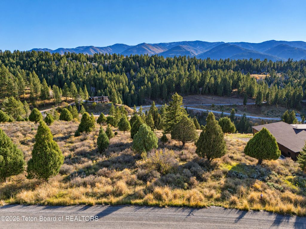 LOT 64 CUTTHROAT RUN Lane, Irwin, ID 83428 photo 5
