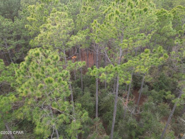 0020 Hawthorne Trail, Bonifay, FL 32425