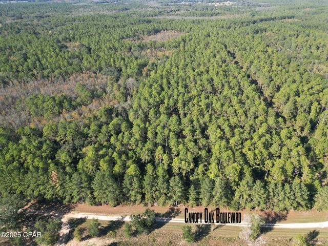 0020 Hawthorne Trail, Bonifay, FL 32425