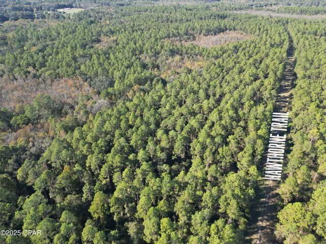 0020 Hawthorne Trail, Bonifay, FL 32425