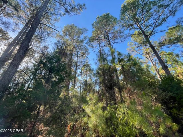 0020 Hawthorne Trail, Bonifay, FL 32425