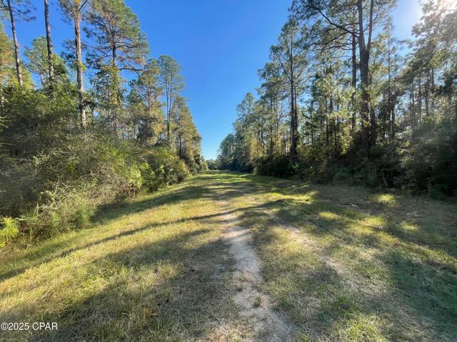 0020 Hawthorne Trail, Bonifay, FL 32425