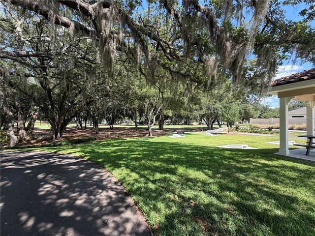 2003 CORDERO COURT, The Villages, FL 32159