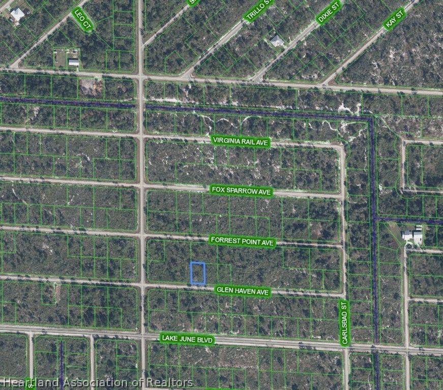 3457 Glen Haven Avenue, Lake Placid, FL 33852