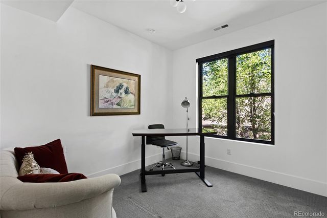 1035 S Columbine Street, Denver, CO 80209
