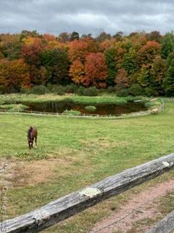 282 W Shore Road, Bethel, NY 12783