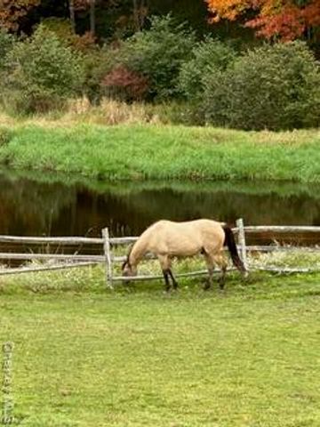 282 W Shore Road, Bethel, NY 12783