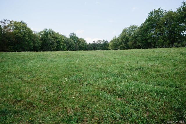 282 W Shore Road, Bethel, NY 12783