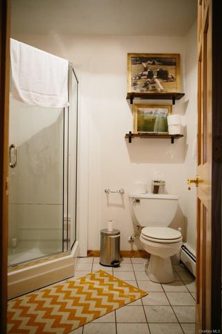 282 W Shore Road, Bethel, NY 12783