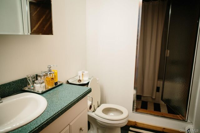 282 W Shore Road, Bethel, NY 12783