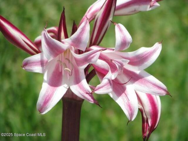 6710 Highway A1a, Melbourne Beach, FL 32951