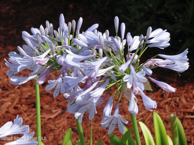 6710 Highway A1a, Melbourne Beach, FL 32951