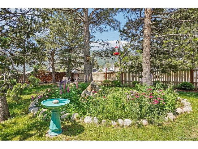 62 N Cowles St, Empire, CO 80438