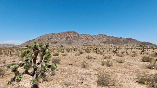 1903 Osgood Avenue, Landers, CA 92285