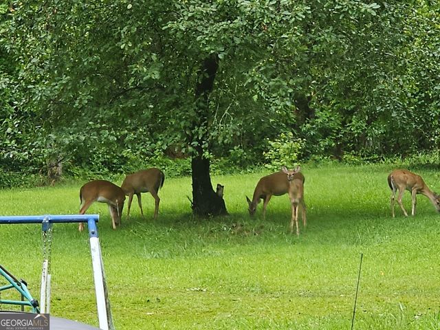 3096 Campground Road, Winston, GA 30187